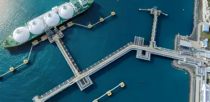 Technical Consultancy & Feasibility